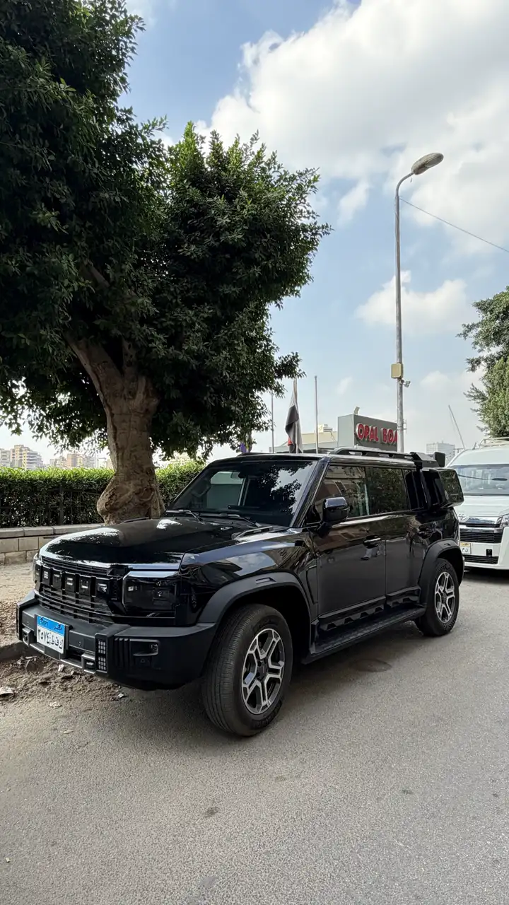 Jetour T2 sous un arbre au Caire